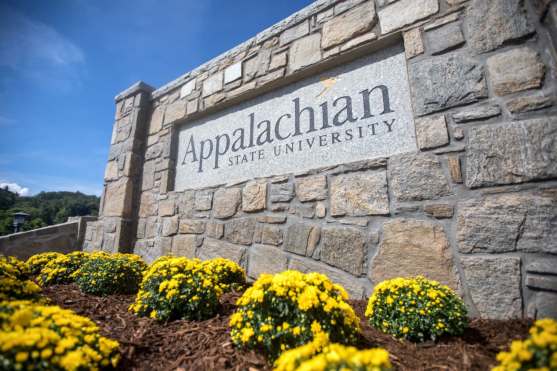 Appalachian Sign