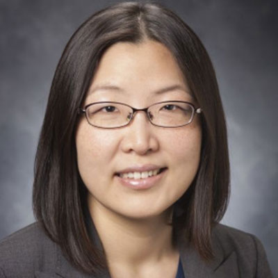 Program Faculty: Dr. Hye-Sung Kim